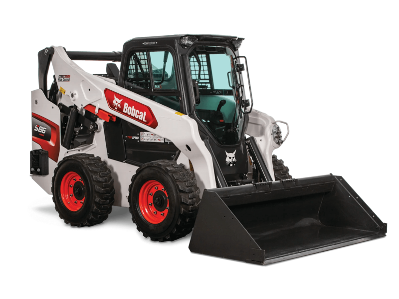 Bobcat
